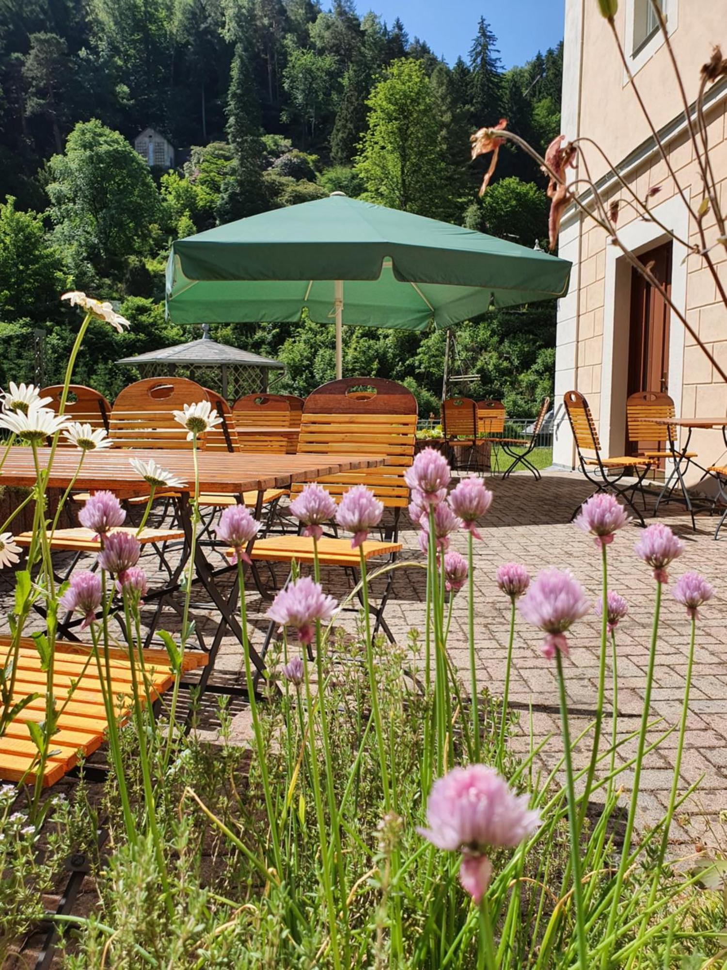 Hotel Garni Dekorahaus Bad Schandau Exterior photo